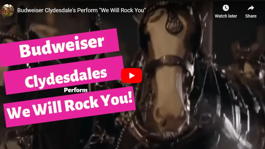 Budweiser Clydesdales Perform - We Will Rock You